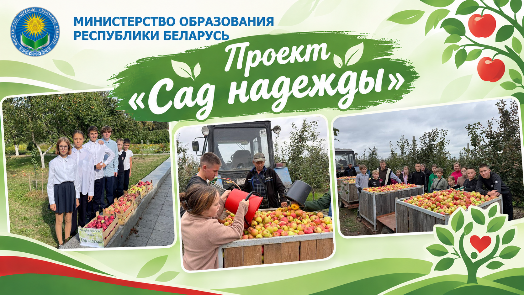 A Harvest of Goodness: Over 120,000 schoolchildren across the country gathered 800 tons of apples for the “Sad Nadezhdy” project