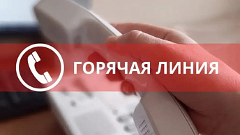 Горячая линия: подготовка к новому учебному году