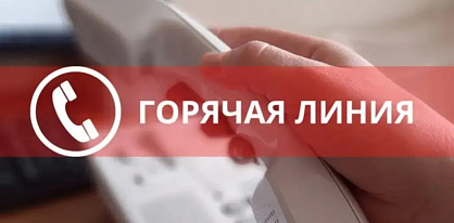 Горячая линия: подготовка к новому учебному году